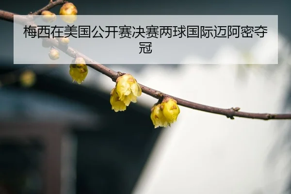 mei-xi-zai-mei-guo-gong-kai-sai-jue-sai-liang-qiu-guo-ji-mai-a-mi-duo-guan-3-933.jpg