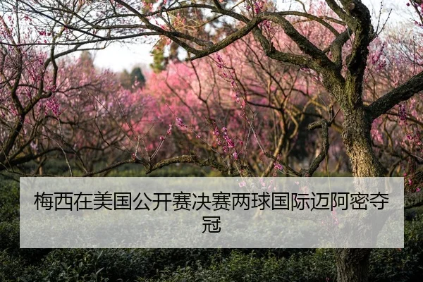 梅西在美国公开赛决赛两球国际迈阿密夺冠